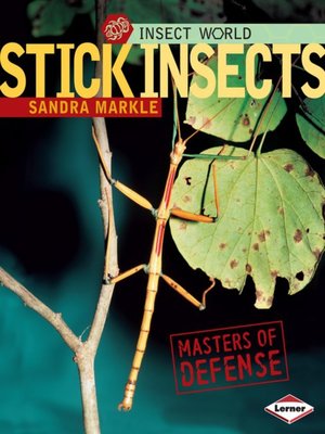 cover image of Stick Insects